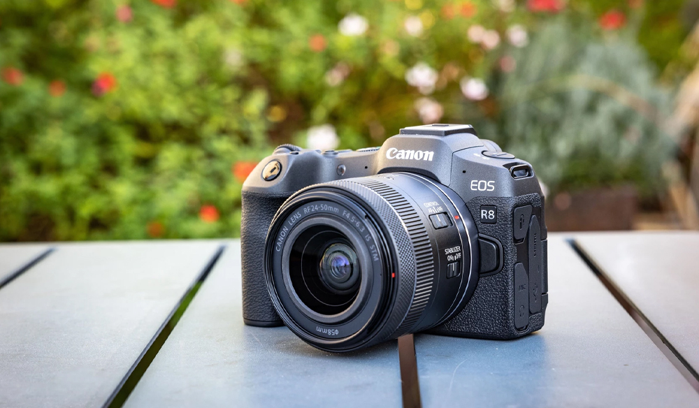 Canon EOS R8 6 Months Later REVIEW: Best Budget Full Frame Mirrorless  Camera?! 